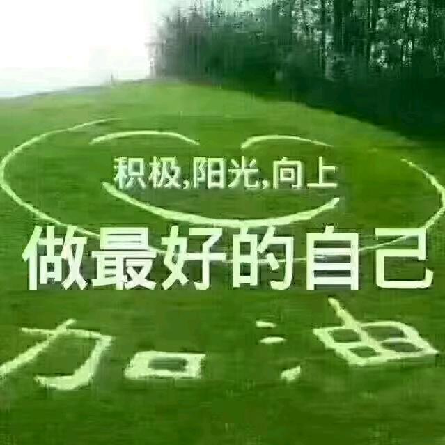 龙吟凤