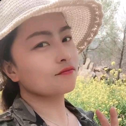 🍀   雪灵狐   ☘️