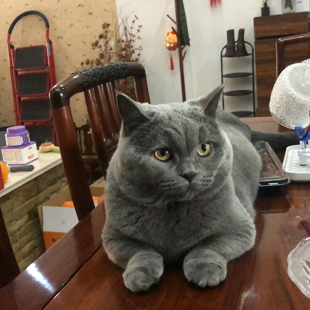 美辰～陈