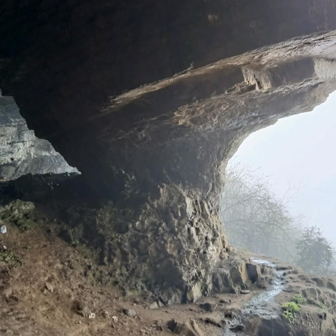 人走爱未凉