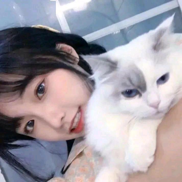 笑嘻嘻吃喝玩乐