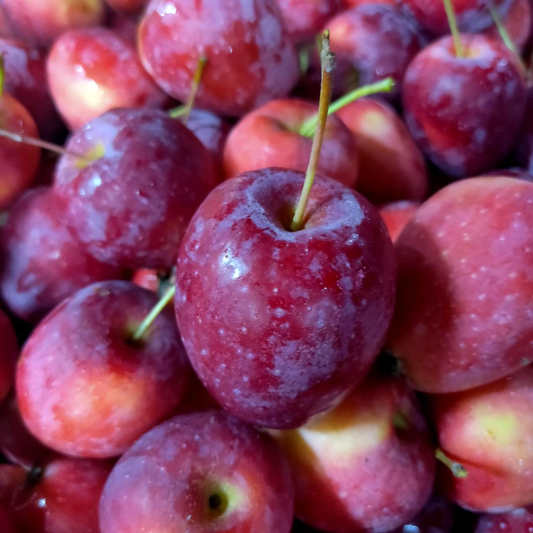 🍀🍀知足常乐🍎🍎