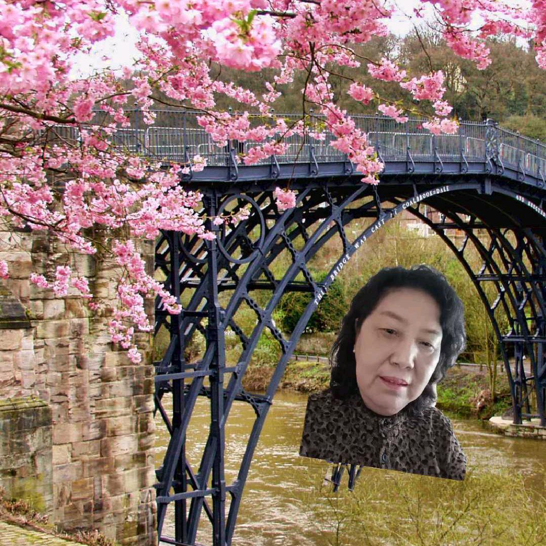 梅春兰