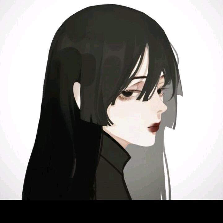 每天音乐music