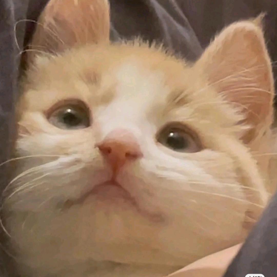 Meoki