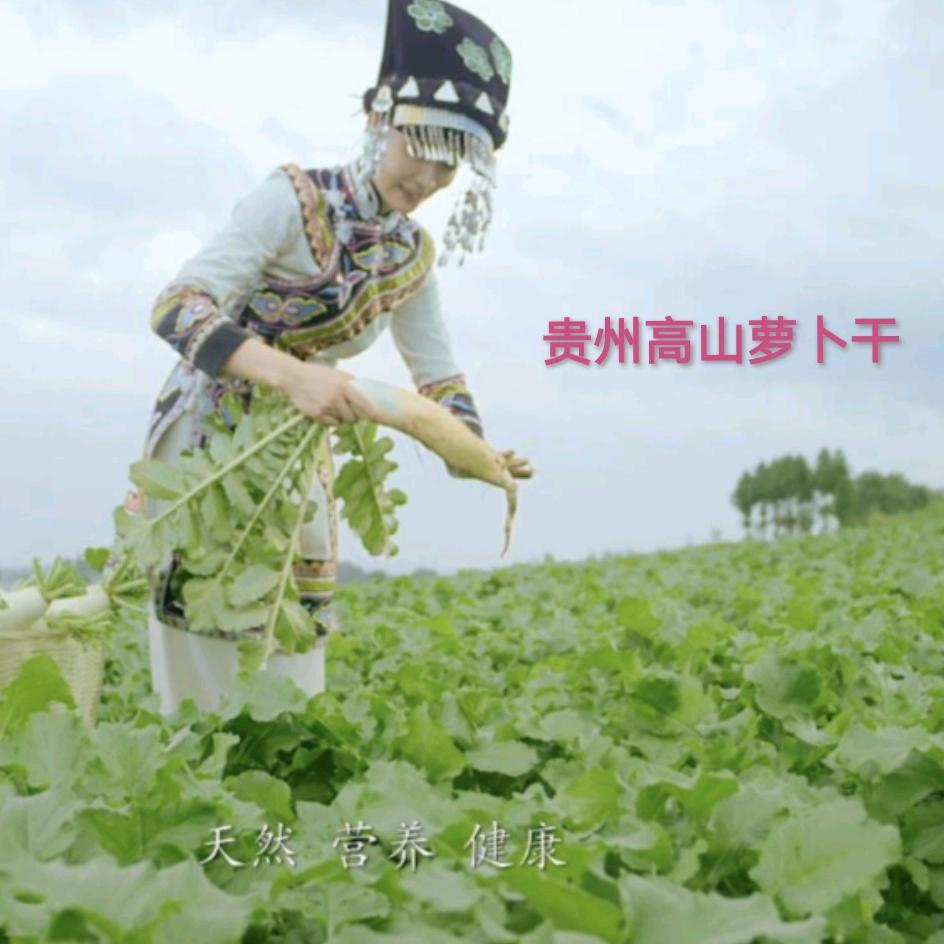 纳莱富贵州纳来福食品有限责任公司速食专卖店
