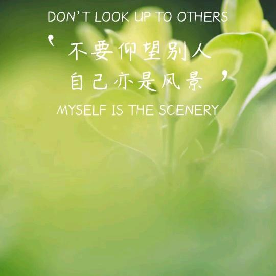 亦是风景