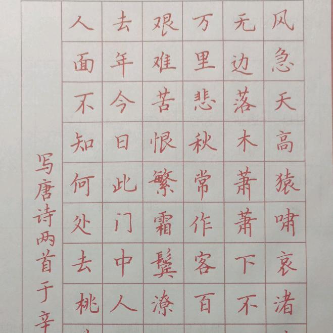 茶语清风