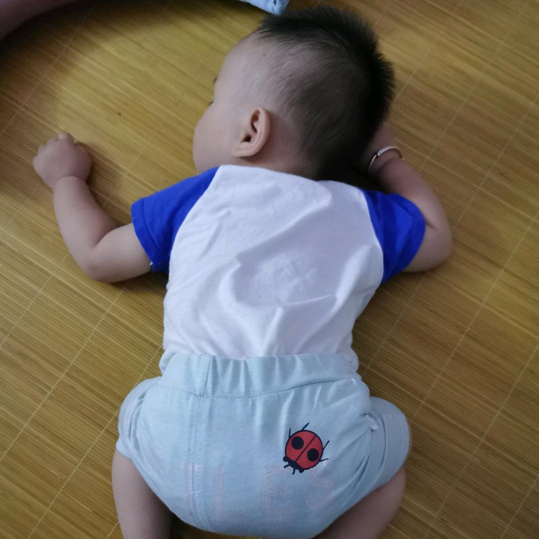 🦄焕彩🐬