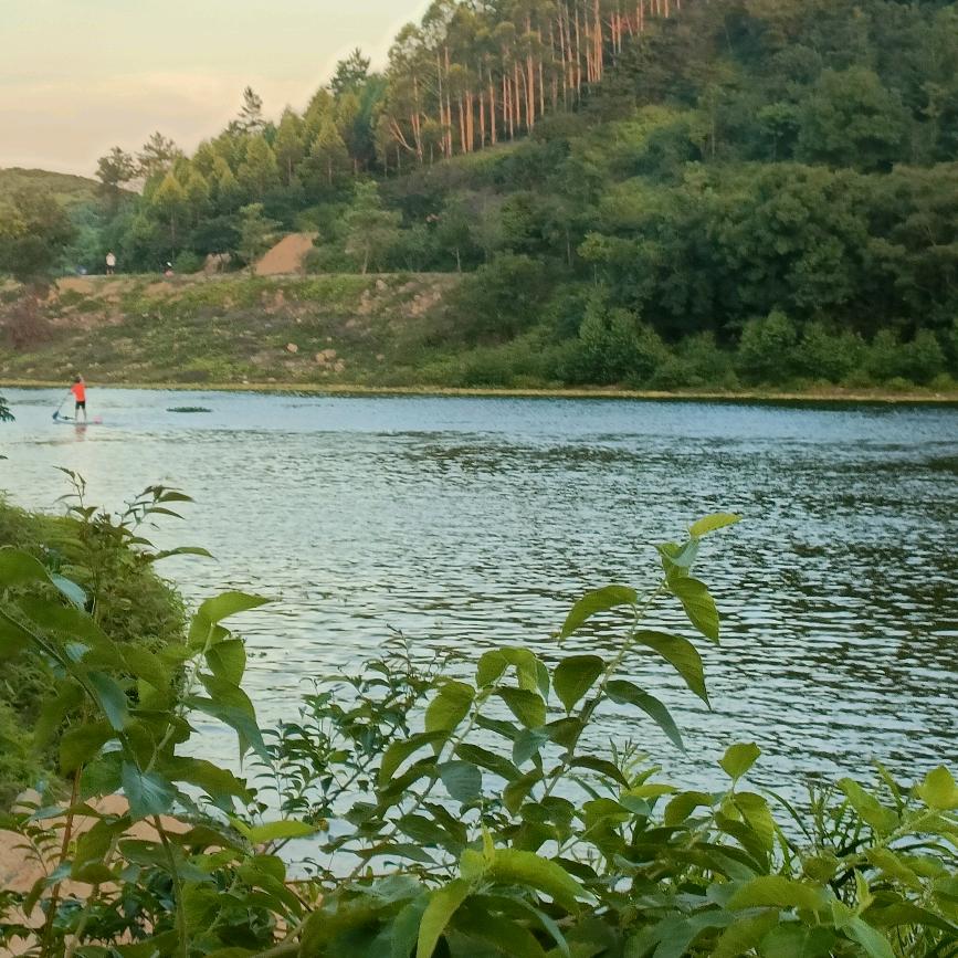 东田镇山美批发山茶油