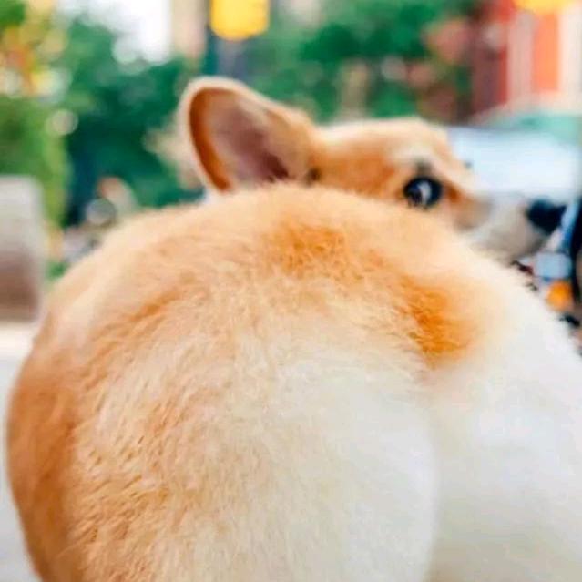 回眸一笑&百媚生