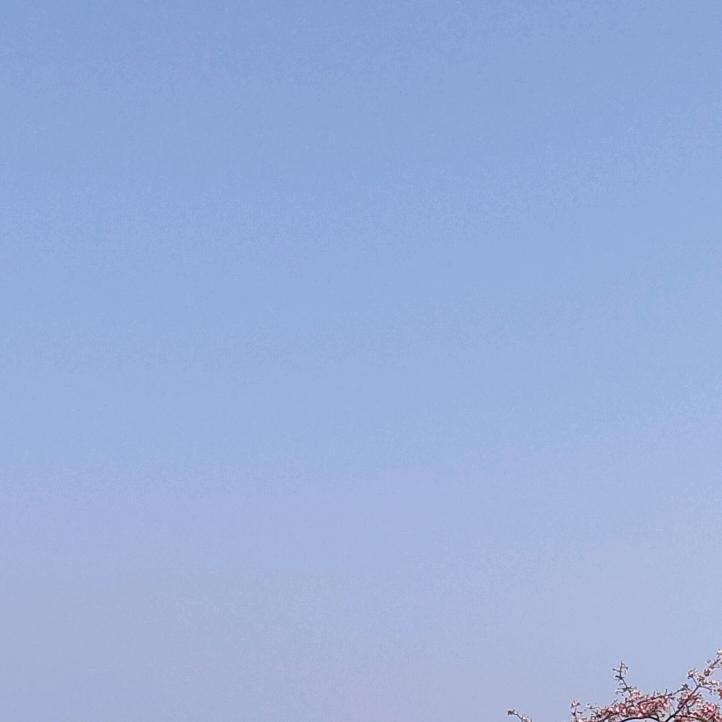 此情