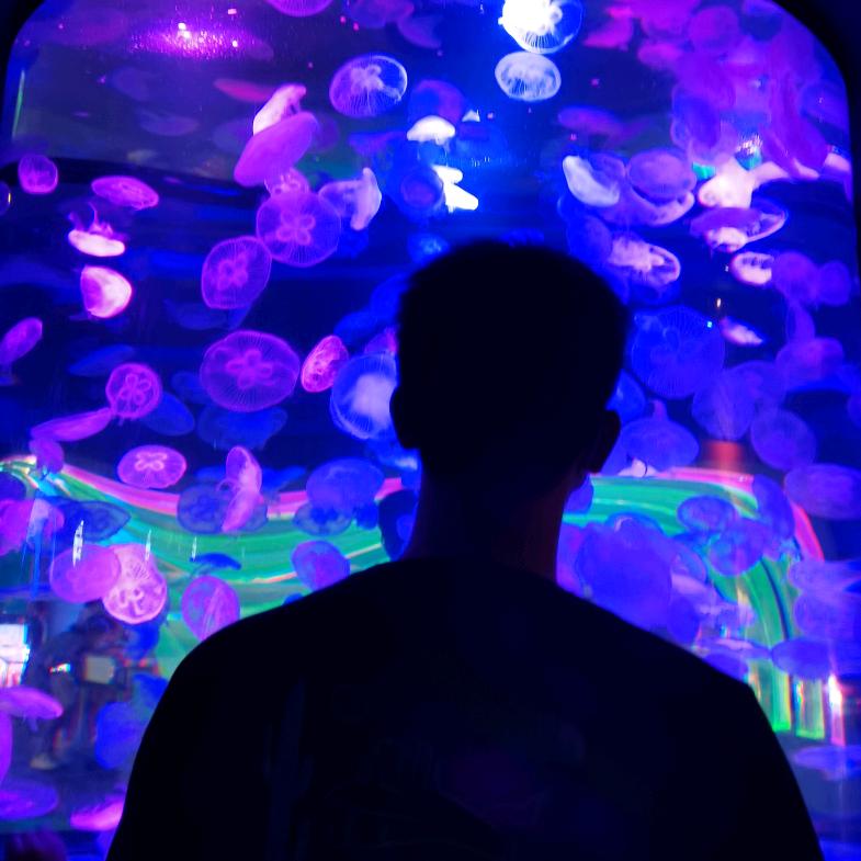 一十一