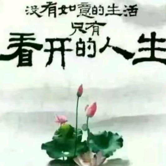 老赵