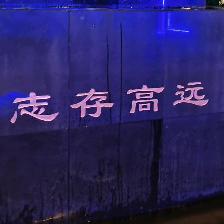 真普通