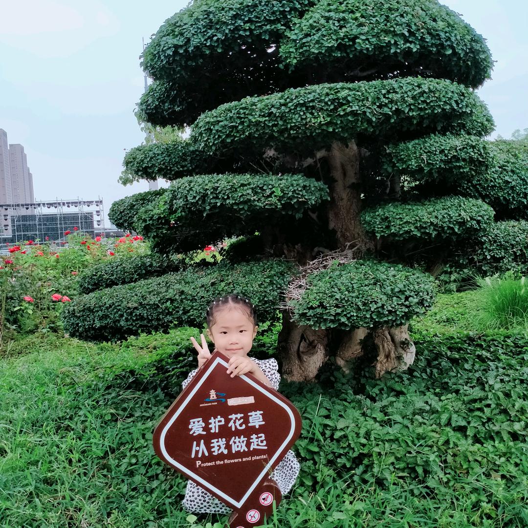 过去的就让她他过去吧