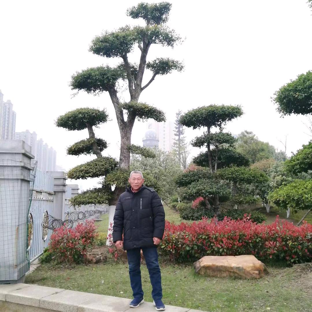 老李爱莲花