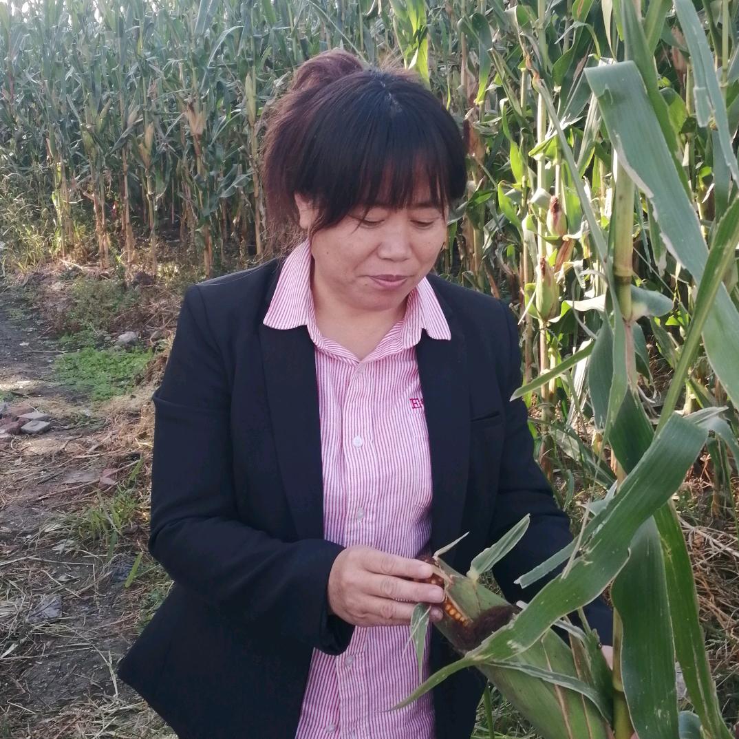 快乐人生 21点10分