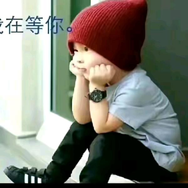 忙忙碌碌何时休