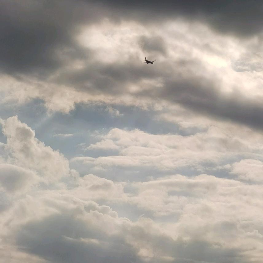 从你的世界飞过