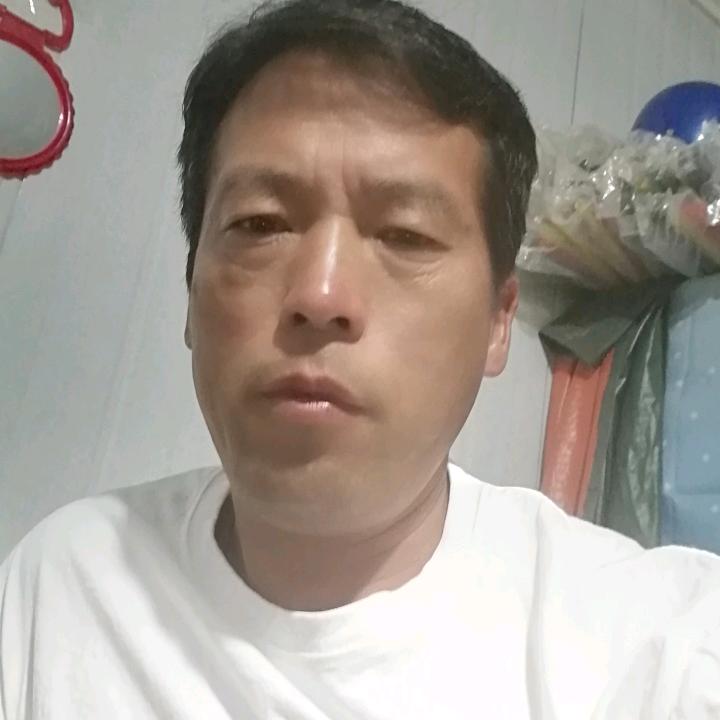 蓝尾狐