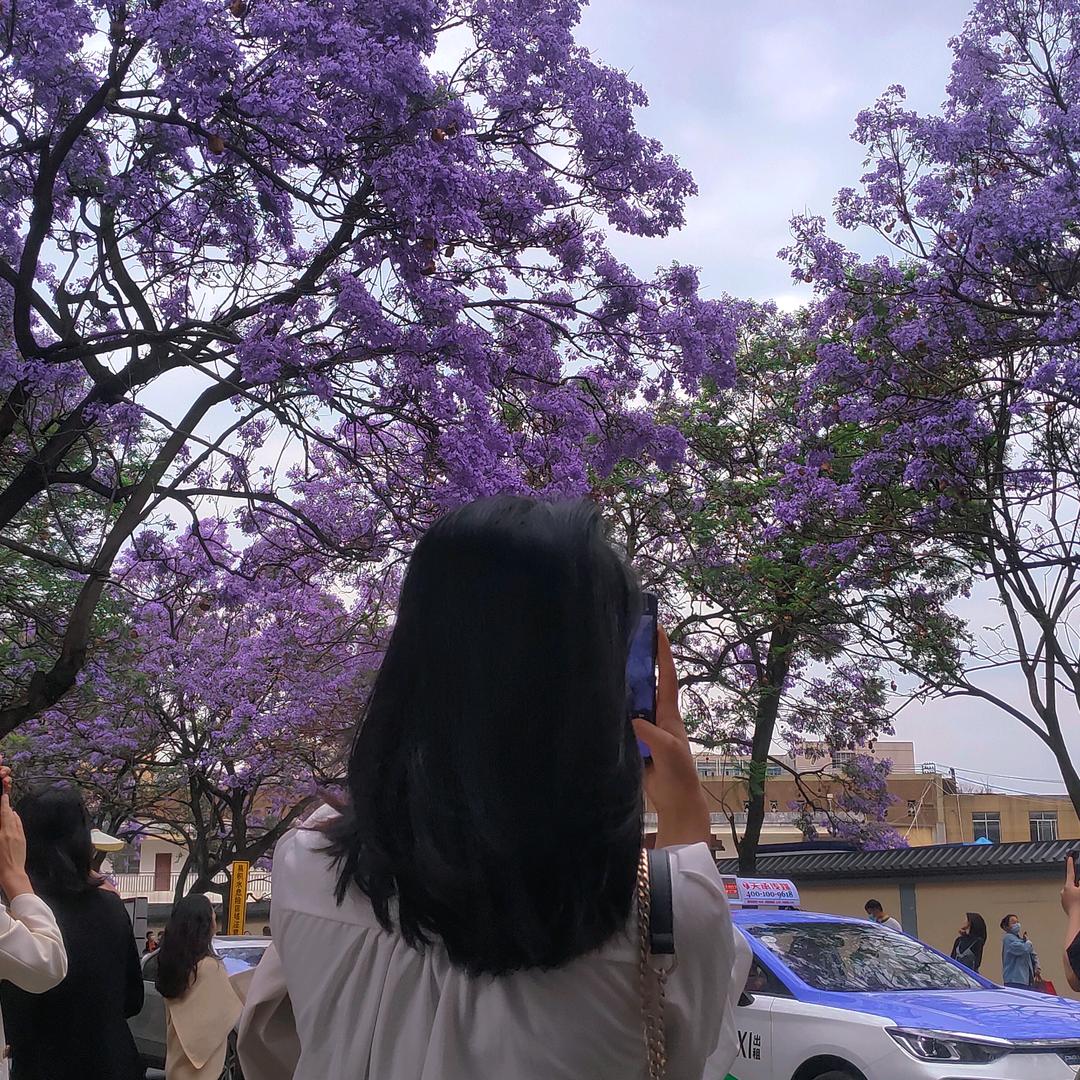 阿哩