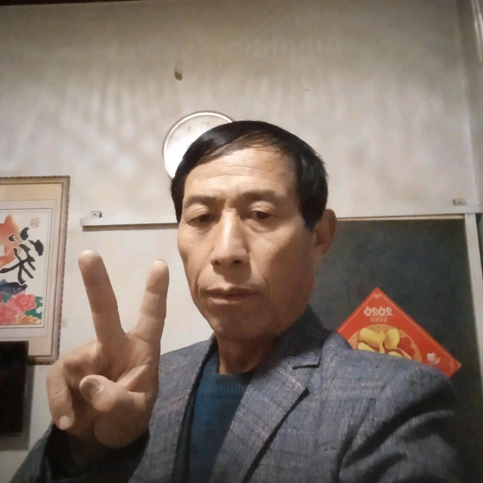 常青树