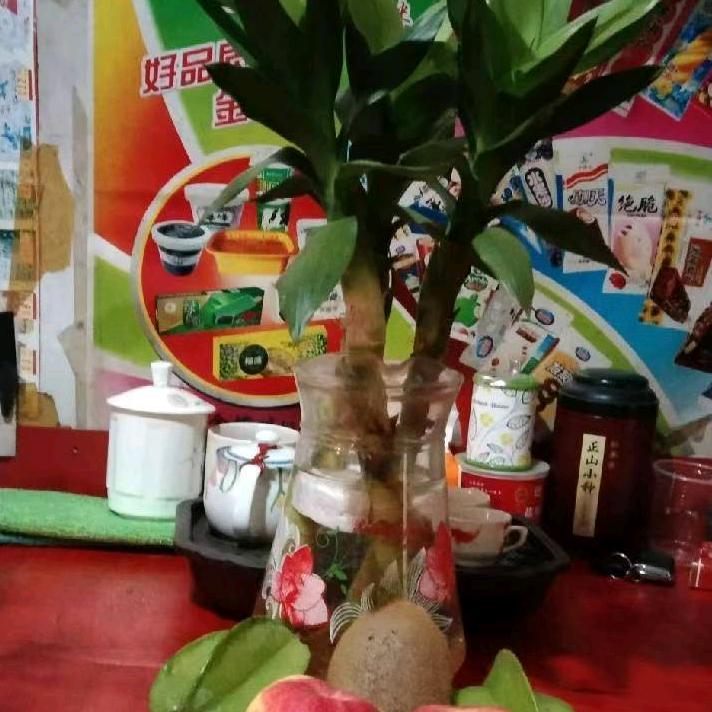 健康万事如意
