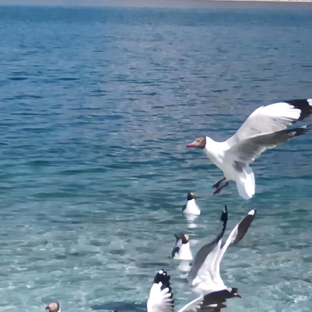 夏天的风💤💤