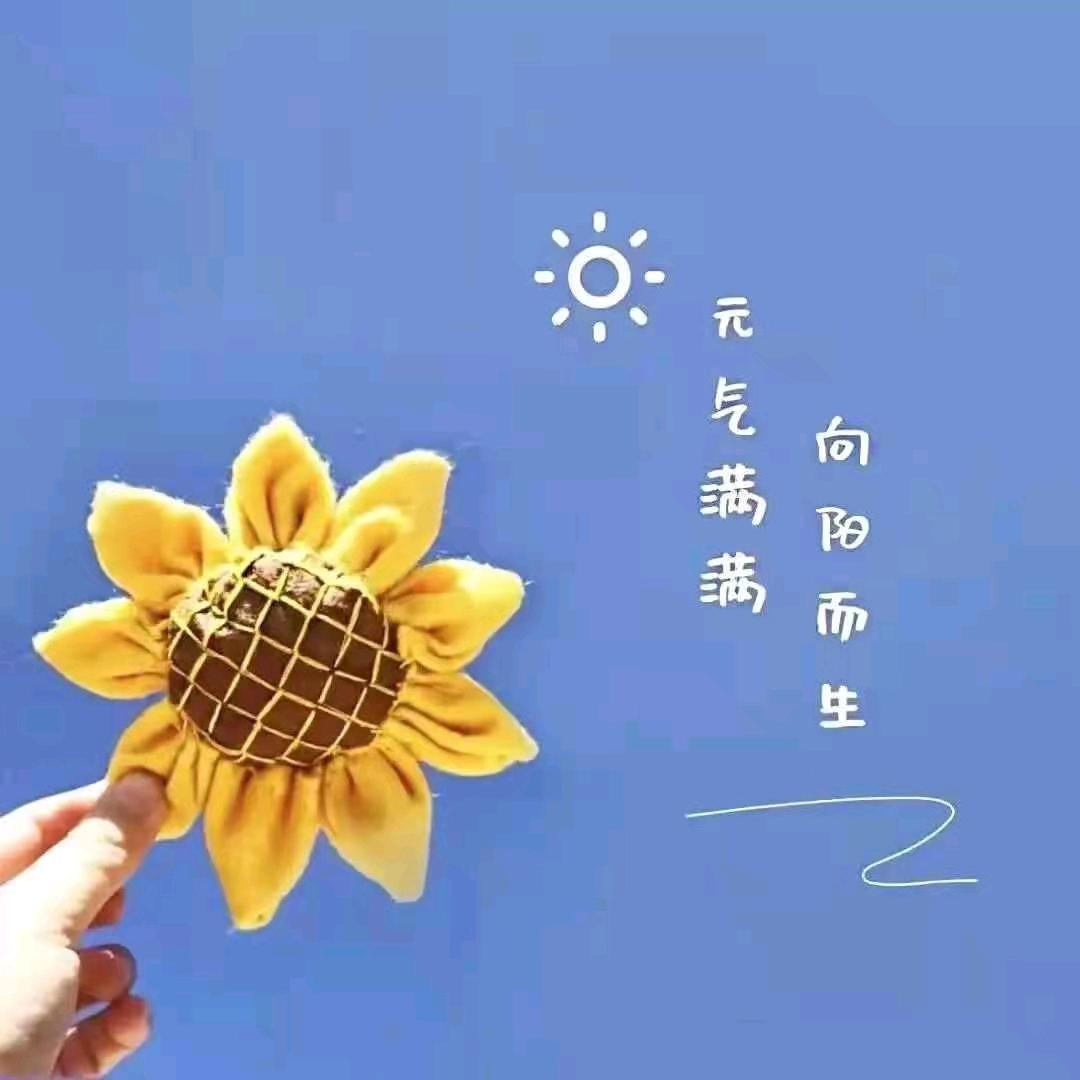 鑫鑫门窗