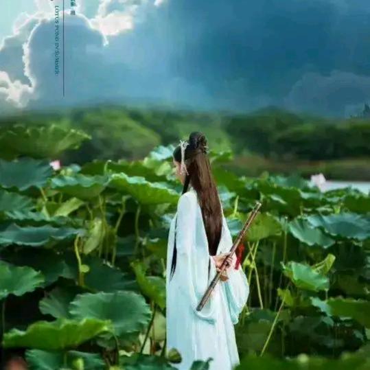 淡若清风～自在安宁