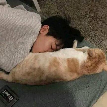 高凯乐