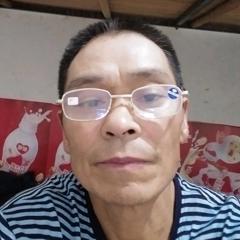 无声的雨