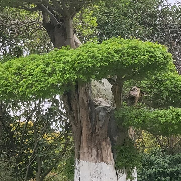 一生无悔