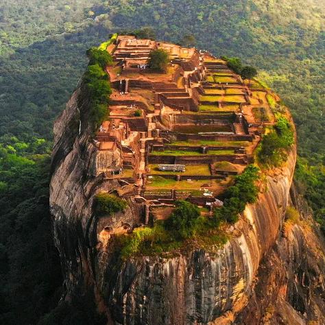 二伟小型农业机械加工