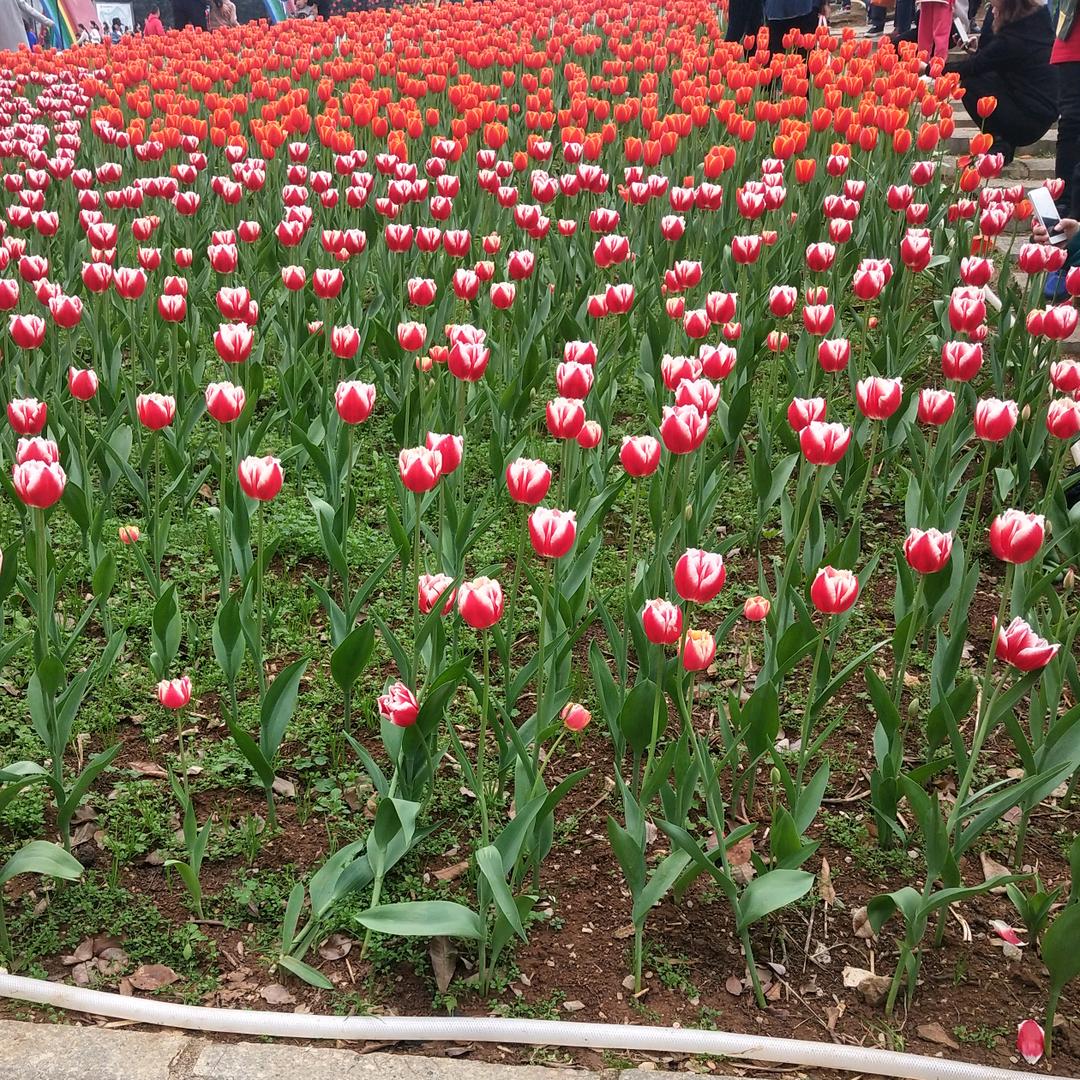 ᥫꪫ࿚冰恋୧⍤⃝💞࿐ᩚ