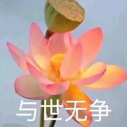 好好学习，天天向上