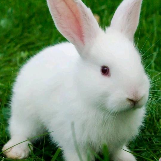 既来之，则安之。