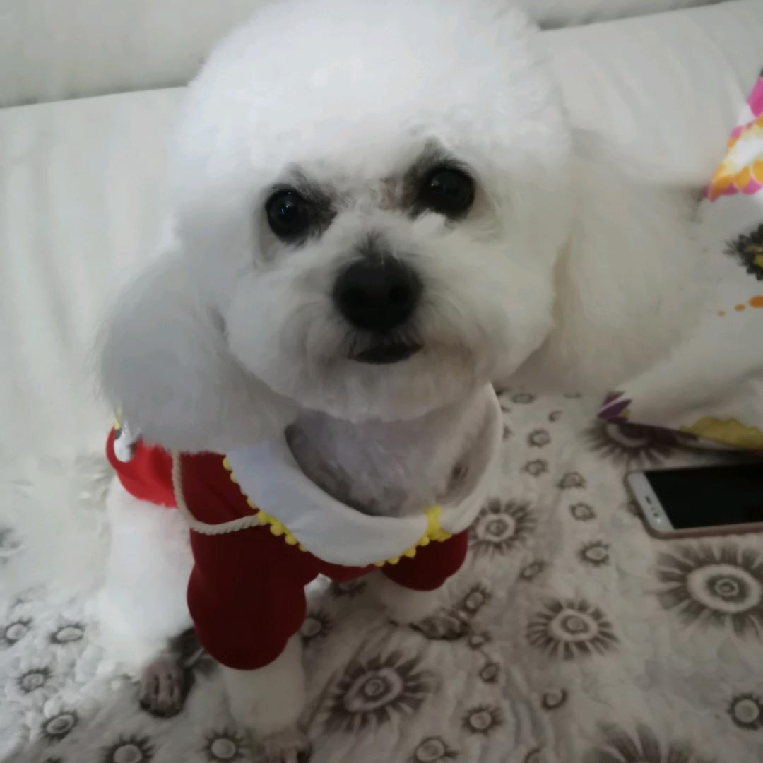 果果麻麻