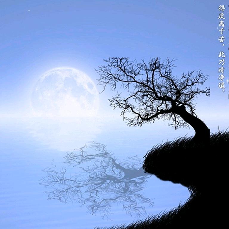 鑫家豪苗木联盟