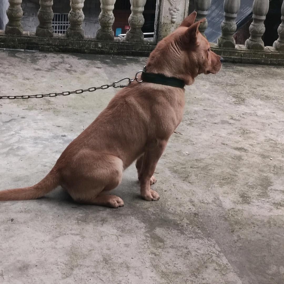 明月曾经照双人
