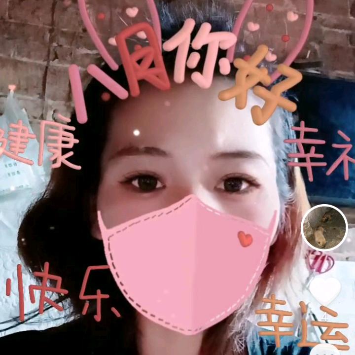 小能归还给我