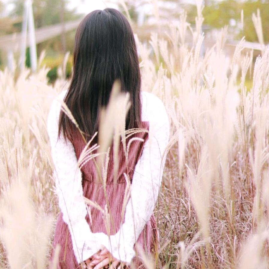 淑淑