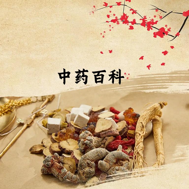 中药小百科