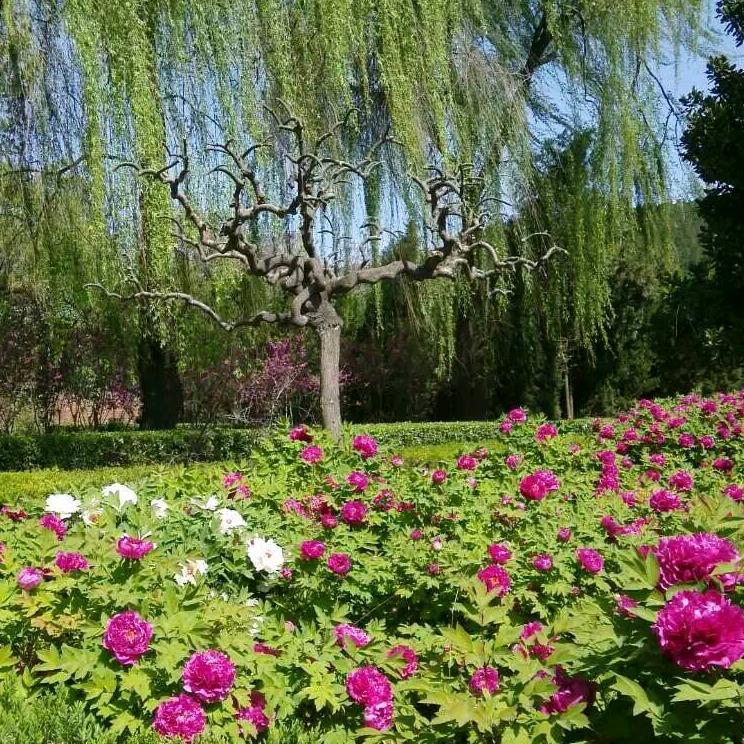 逛吃逛吃逛逛吃