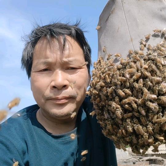 山里养蜂人