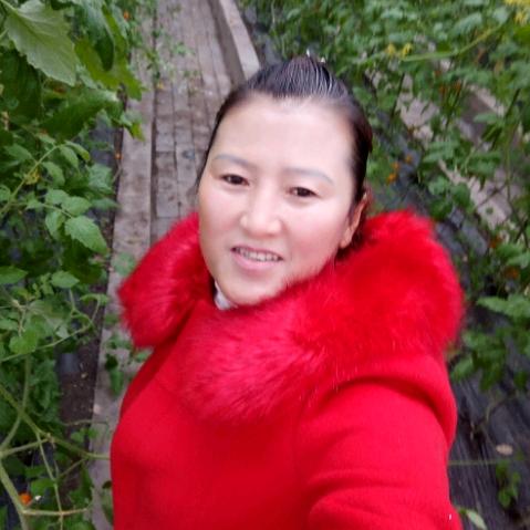 开心快乐每一天lan