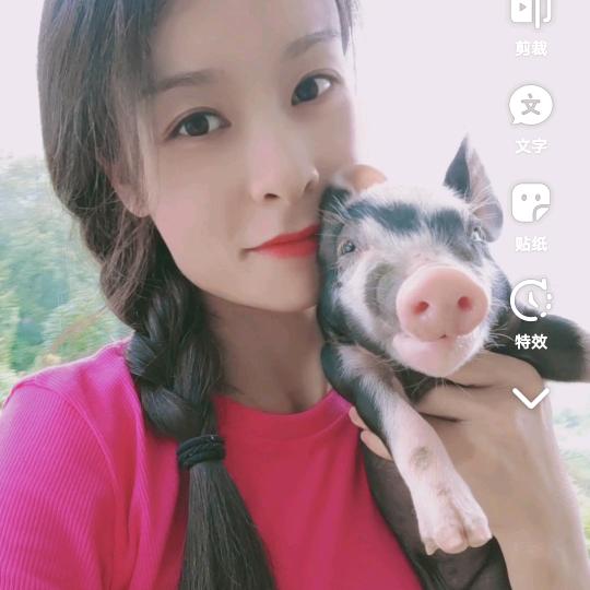 创业养猪莉莉—饲料合伙招募中