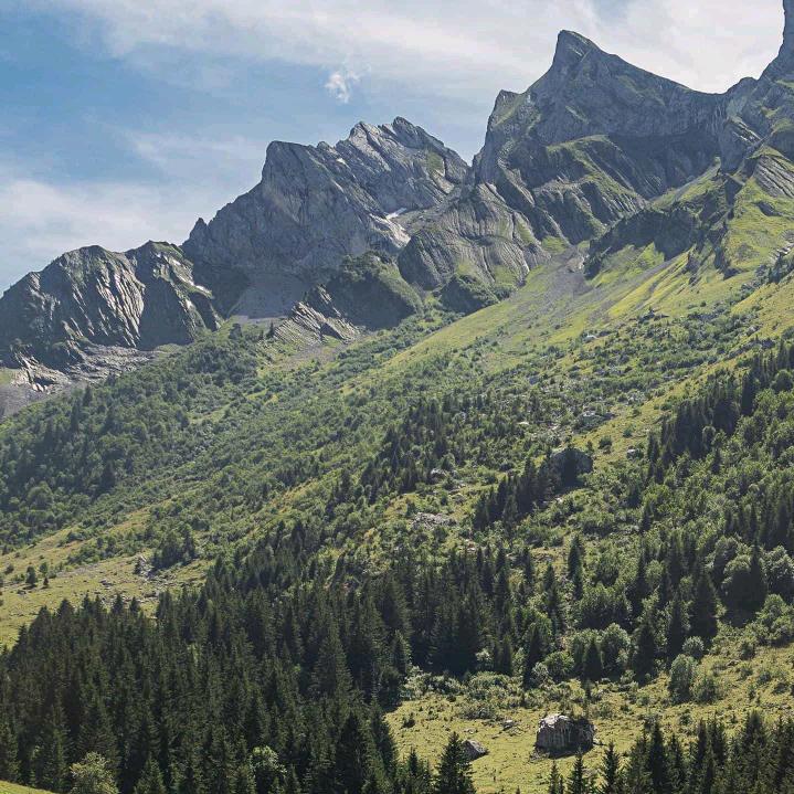 ✨青城山下