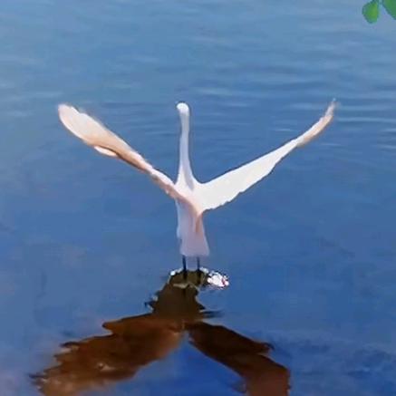 冯🍀雨🌹同♥舟